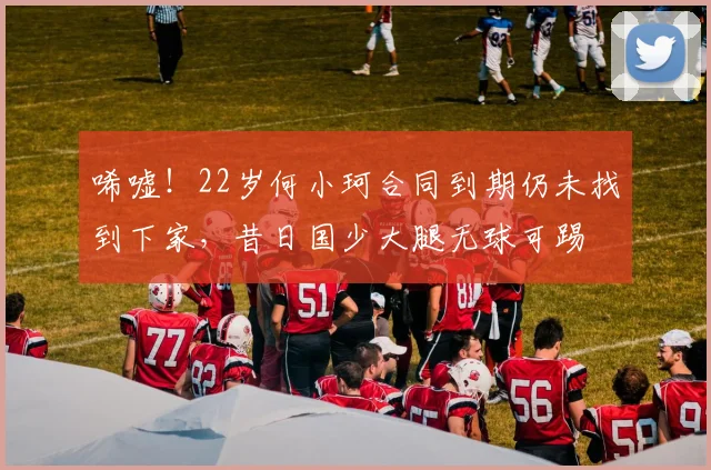 唏嘘！22岁何小珂合同到期仍未找到下家，昔日国少大腿无球可踢
