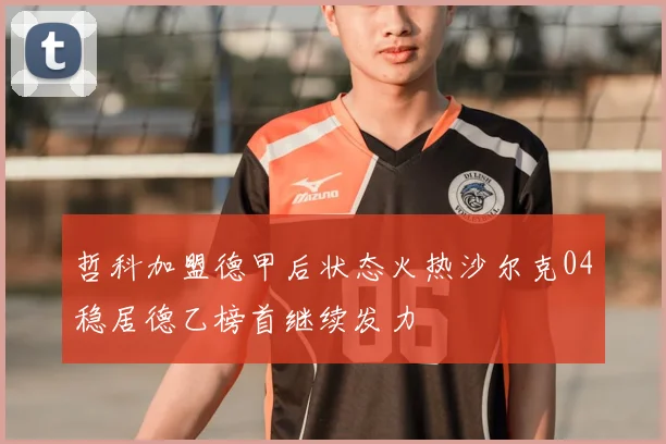 哲科加盟德甲后状态火热沙尔克04稳居德乙榜首继续发力