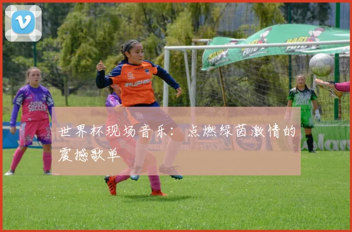 世界杯现场音乐：点燃绿茵激情的震撼歌单