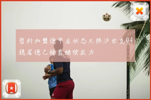 哲科加盟德甲后状态火热沙尔克04稳居德乙榜首继续发力