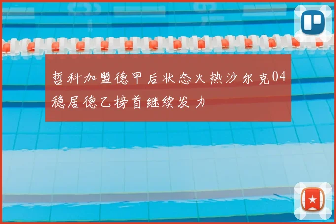 哲科加盟德甲后状态火热沙尔克04稳居德乙榜首继续发力