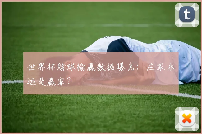 世界杯赌球输赢数据曝光：庄家永远是赢家？