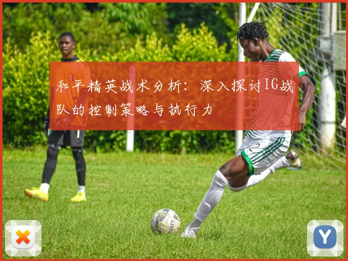 和平精英战术分析：深入探讨IG战队的控制策略与执行力