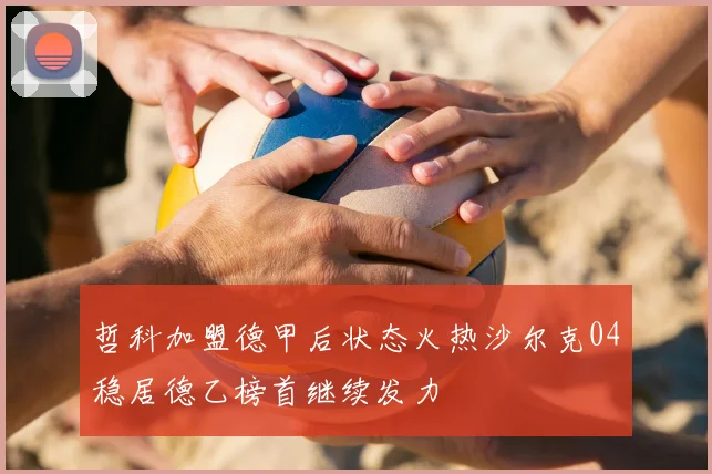 哲科加盟德甲后状态火热沙尔克04稳居德乙榜首继续发力