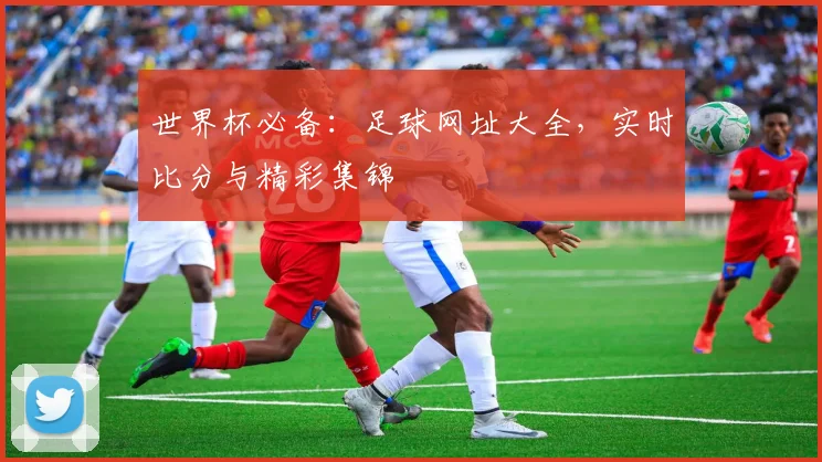 世界杯必备：足球网址大全，实时比分与精彩集锦