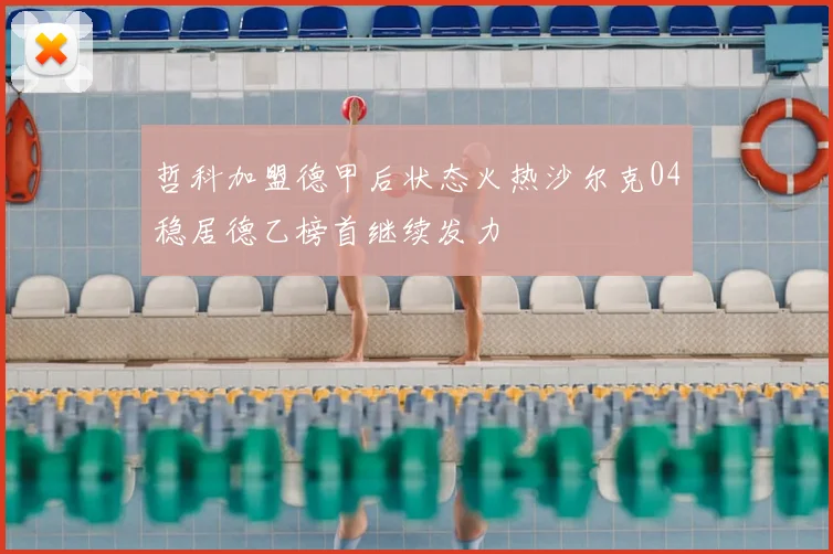 哲科加盟德甲后状态火热沙尔克04稳居德乙榜首继续发力