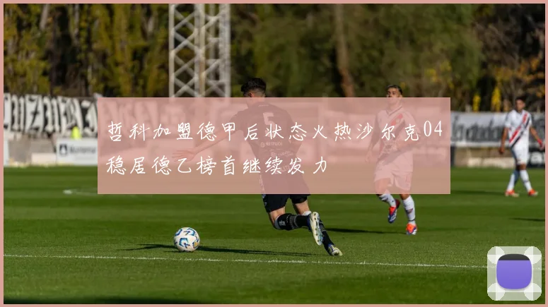 哲科加盟德甲后状态火热沙尔克04稳居德乙榜首继续发力