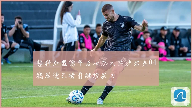 哲科加盟德甲后状态火热沙尔克04稳居德乙榜首继续发力