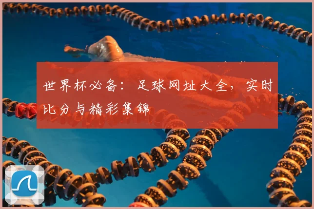 世界杯必备：足球网址大全，实时比分与精彩集锦