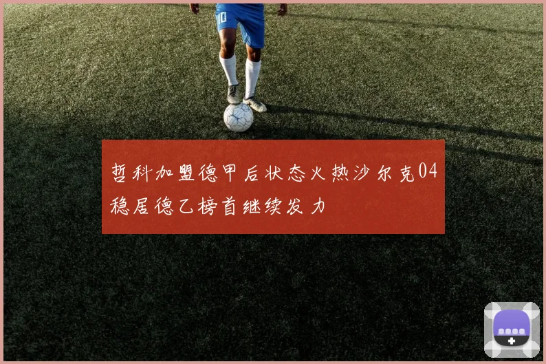 哲科加盟德甲后状态火热沙尔克04稳居德乙榜首继续发力