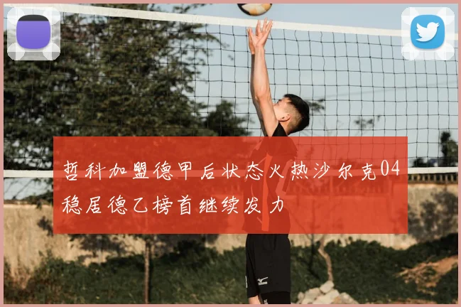 哲科加盟德甲后状态火热沙尔克04稳居德乙榜首继续发力