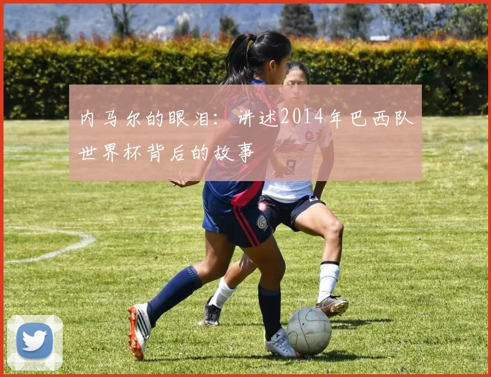 内马尔的眼泪：讲述2014年巴西队世界杯背后的故事