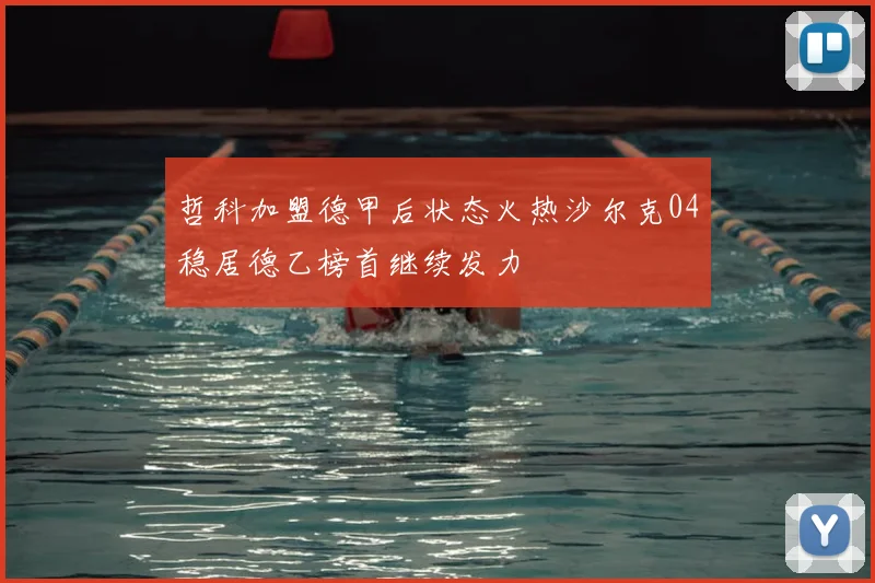 哲科加盟德甲后状态火热沙尔克04稳居德乙榜首继续发力