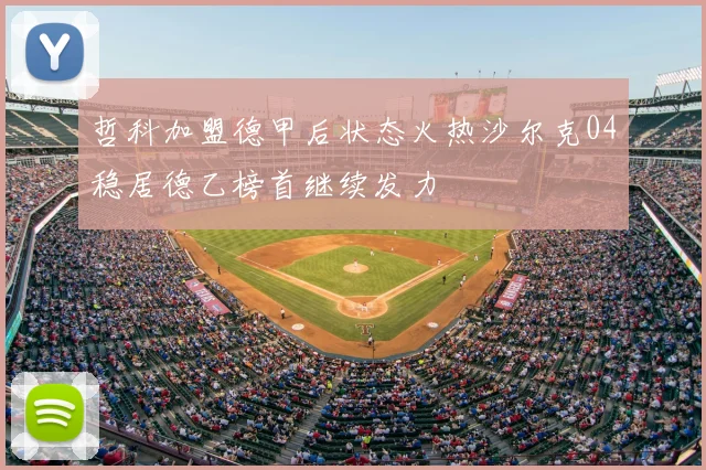 哲科加盟德甲后状态火热沙尔克04稳居德乙榜首继续发力