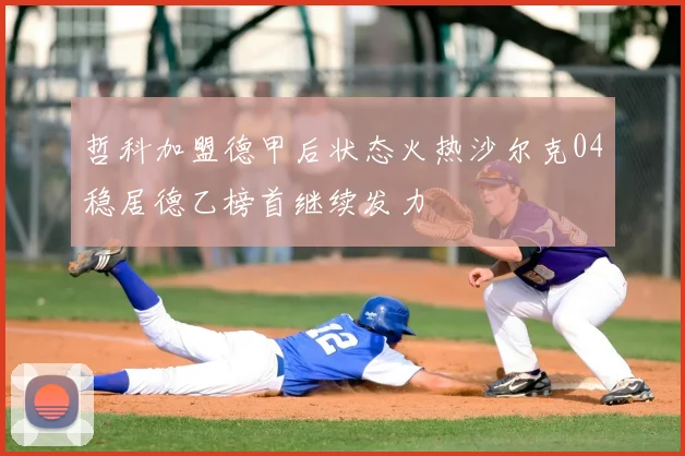 哲科加盟德甲后状态火热沙尔克04稳居德乙榜首继续发力