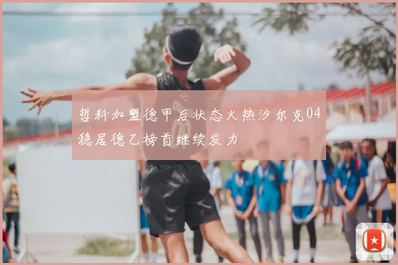 哲科加盟德甲后状态火热沙尔克04稳居德乙榜首继续发力