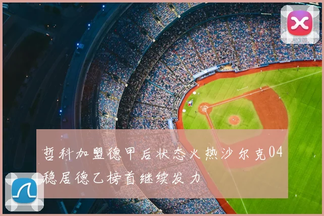 哲科加盟德甲后状态火热沙尔克04稳居德乙榜首继续发力