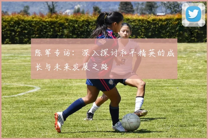 陈军专访：深入探讨和平精英的成长与未来发展之路