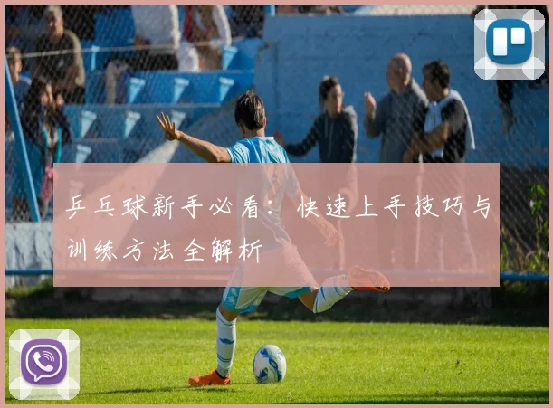 乒乓球新手必看：快速上手技巧与训练方法全解析