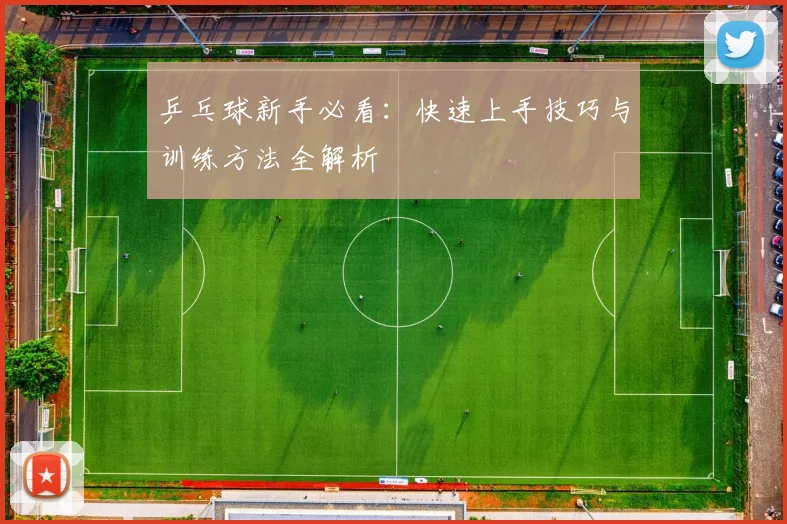 乒乓球新手必看：快速上手技巧与训练方法全解析