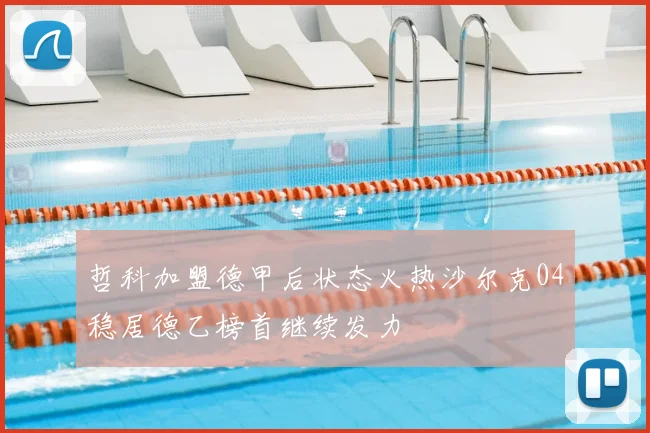 哲科加盟德甲后状态火热沙尔克04稳居德乙榜首继续发力
