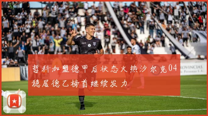 哲科加盟德甲后状态火热沙尔克04稳居德乙榜首继续发力