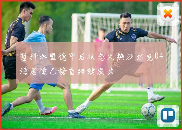 哲科加盟德甲后状态火热沙尔克04稳居德乙榜首继续发力